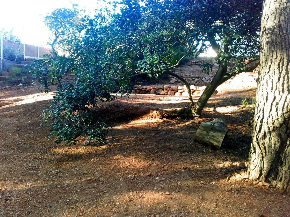 Hostal Ca L'Eli Different Experience Hutt 12157 Mont-Roig del Camp Exterior foto